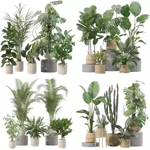 20 Photorealistic Flowers for Interiors - set 202 209 211 213 3D Model Collection
