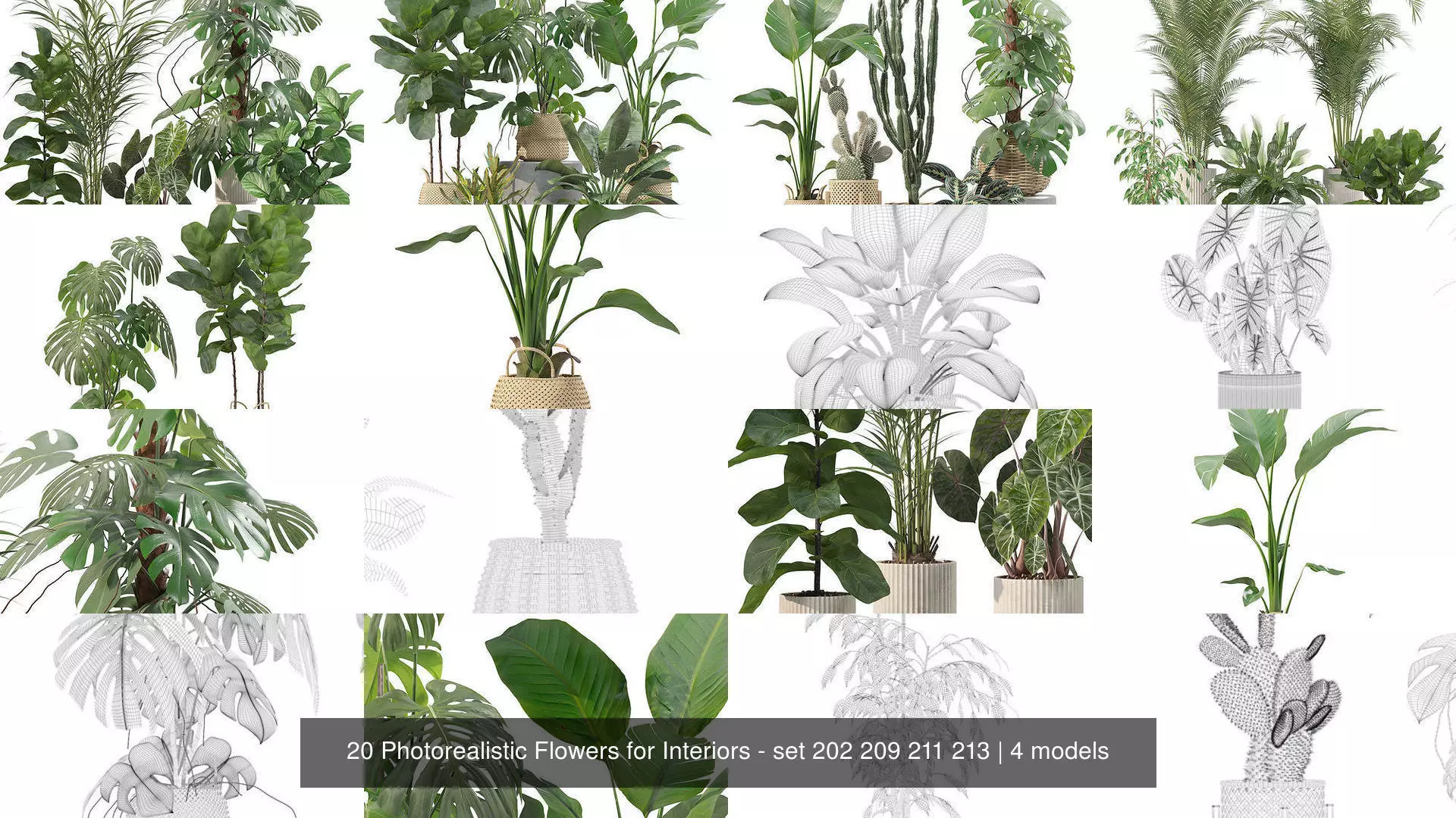 20 Photorealistic Flowers for Interiors - set 202 209 211 213 3D Model Collection_1