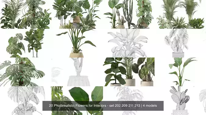 20 Photorealistic Flowers for Interiors - set 202 209 211 213