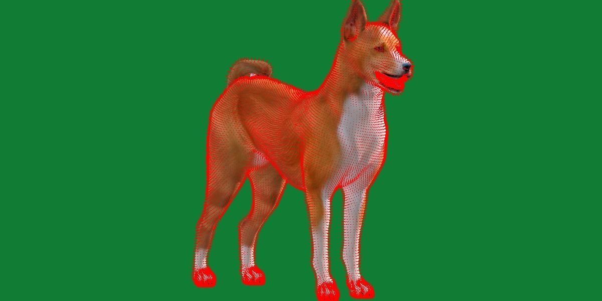 Basenji Dog 3D model_14