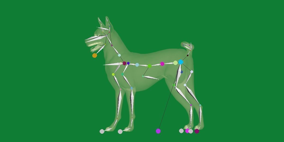 Basenji Dog 3D model_22