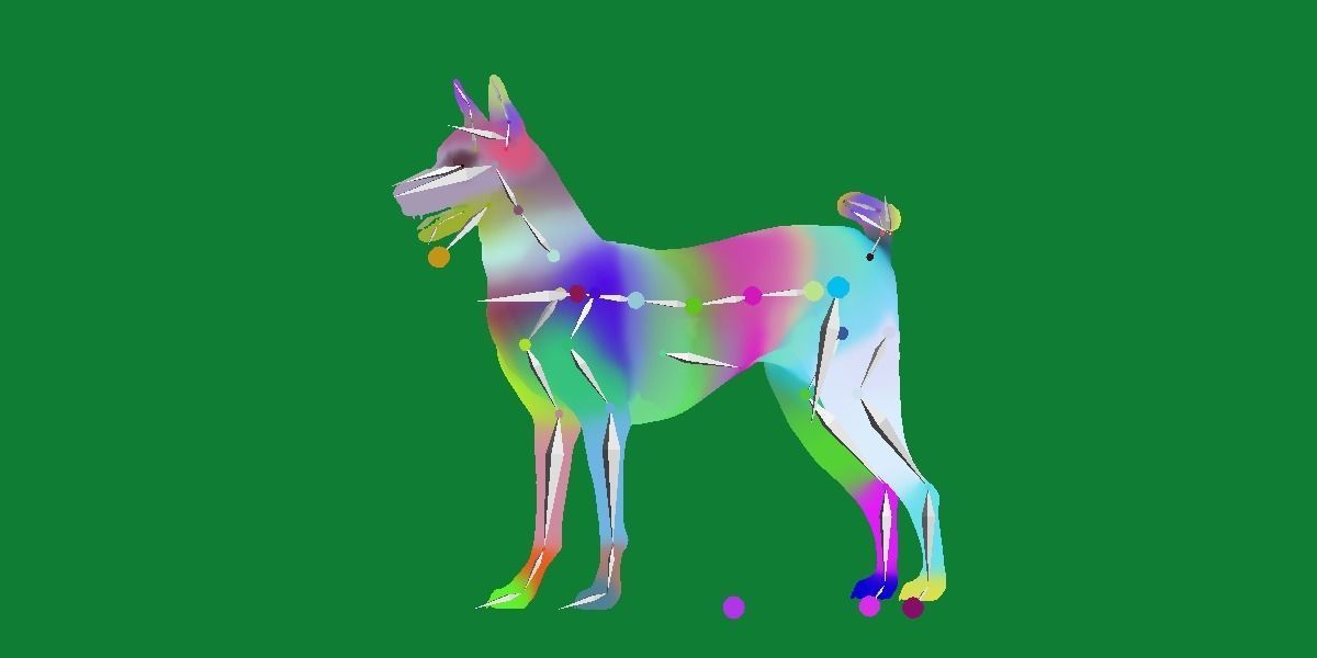 Basenji Dog 3D model_23