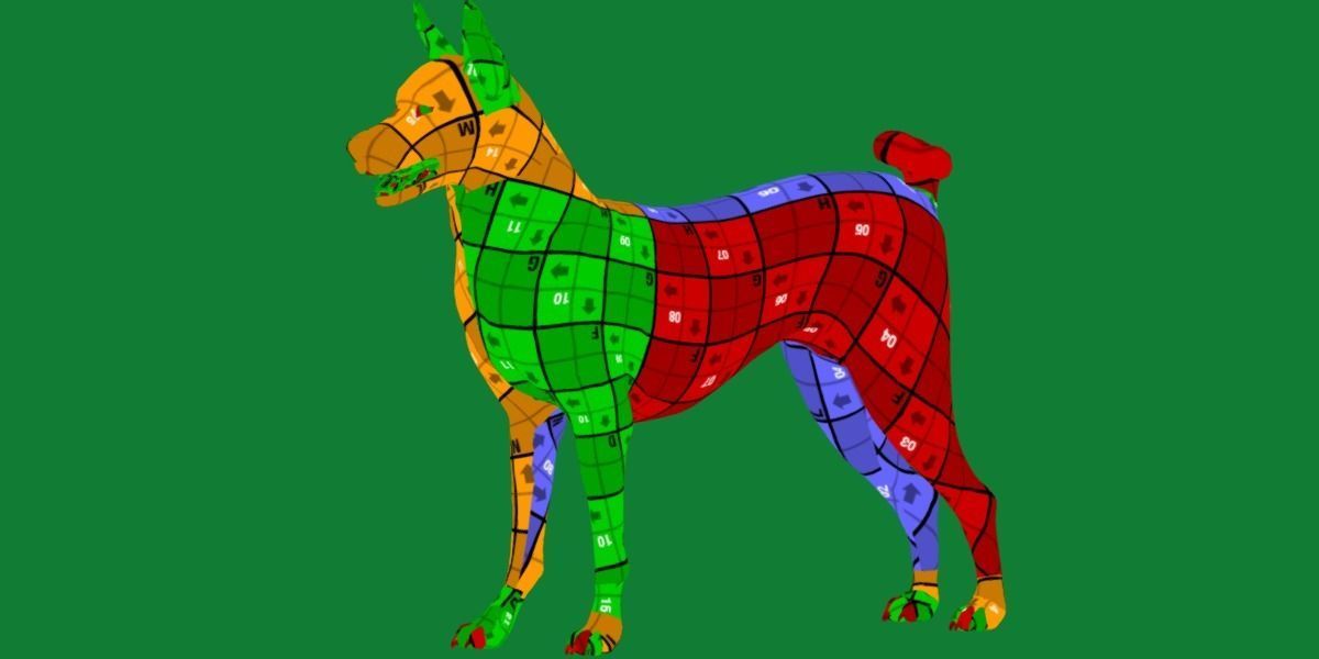 Basenji Dog 3D model_17