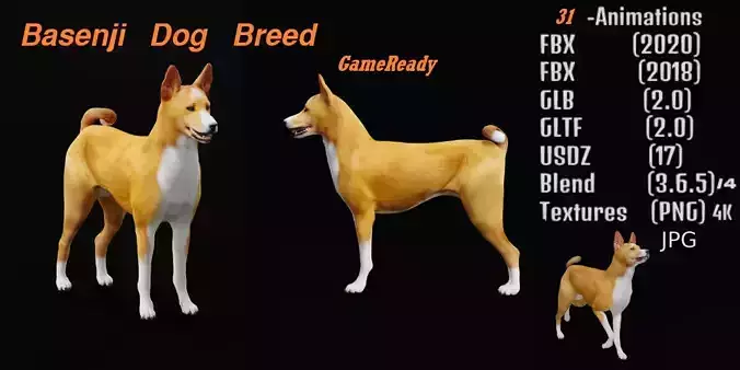 Basenji Dog 3D model