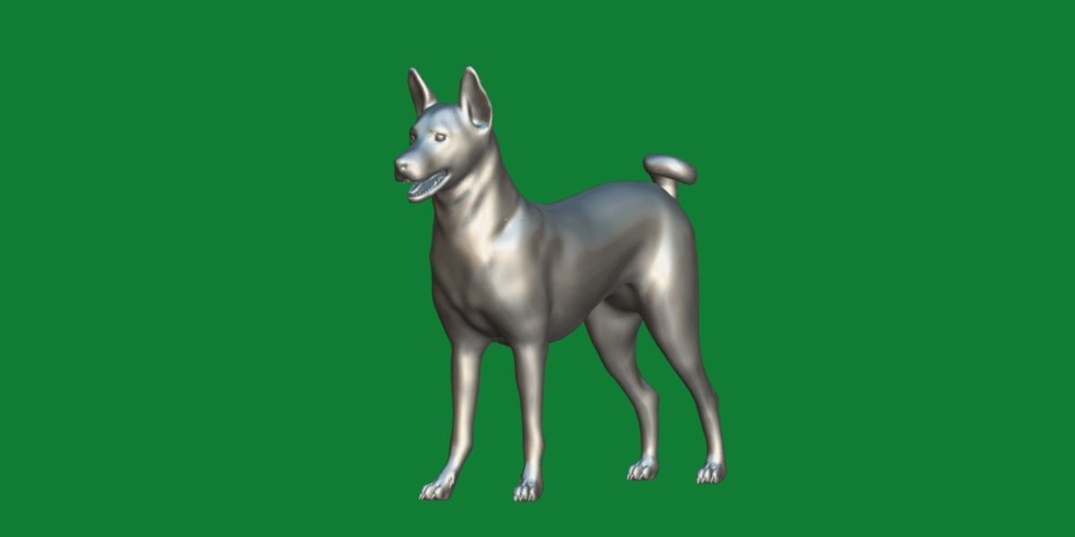 Basenji Dog 3D model_10