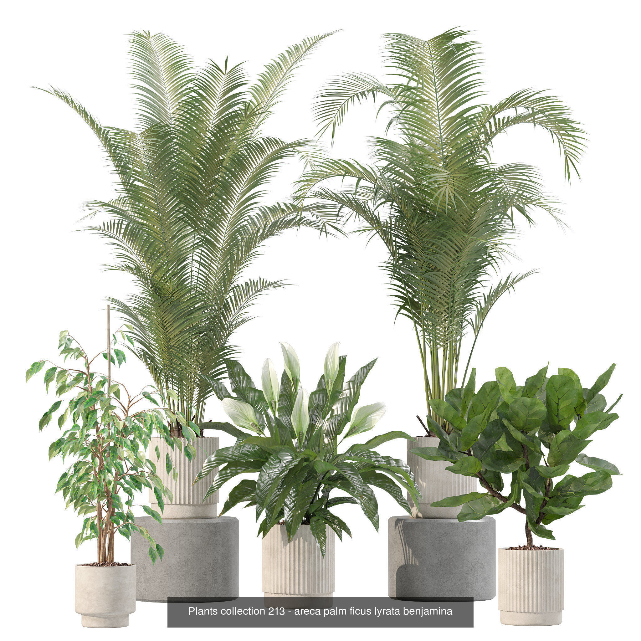 20 Photorealistic Flowers for Interiors - set 202 213 214 216 3D Model Collection_6