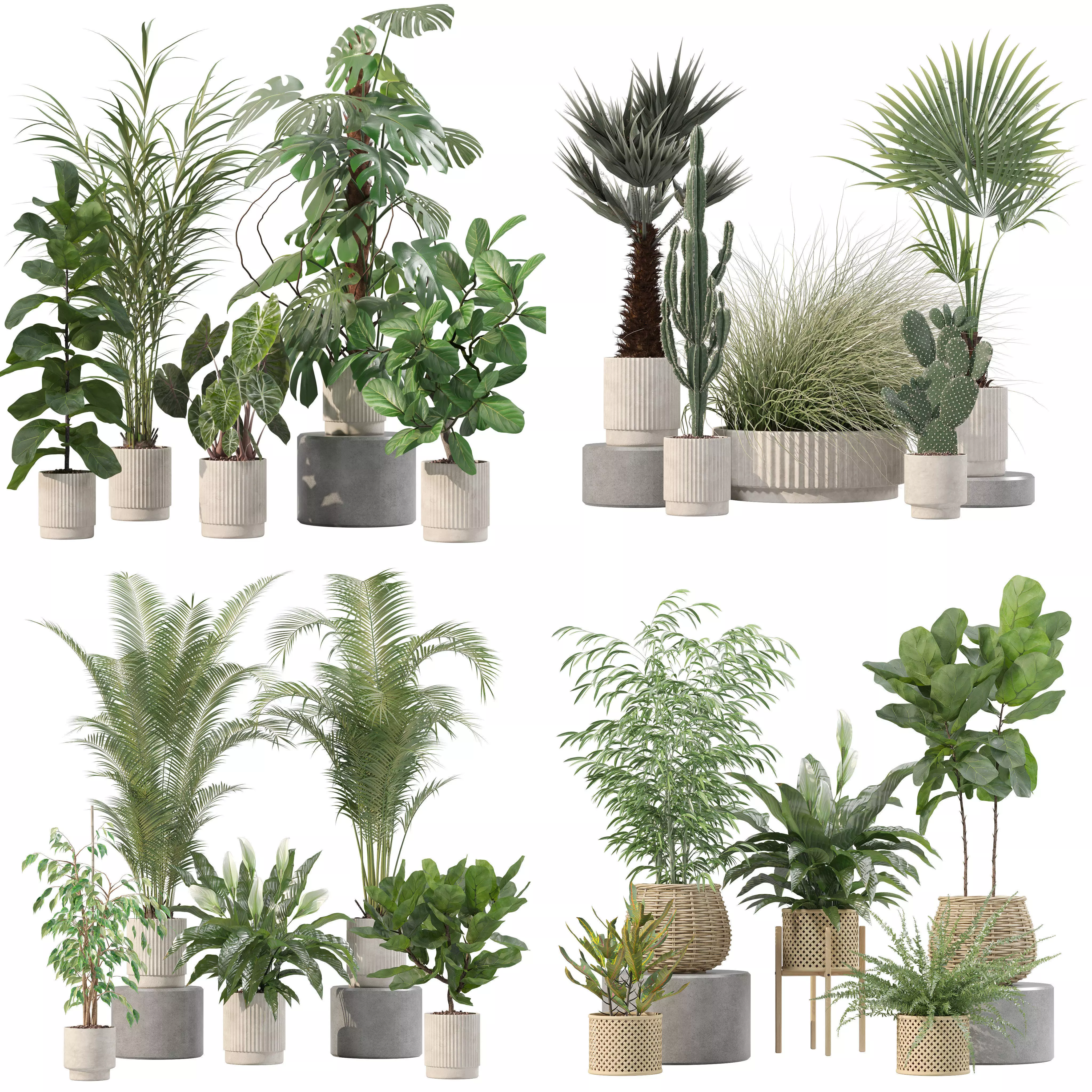 20 Photorealistic Flowers for Interiors - set 202 213 214 216 3D Model Collection_0