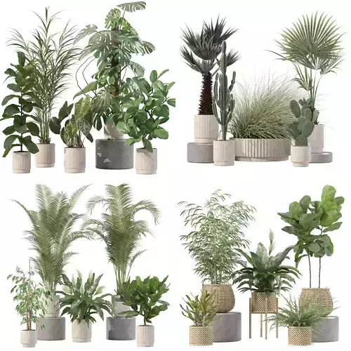 20 Photorealistic Flowers for Interiors - set 202 213 214 216 3D Model Collection