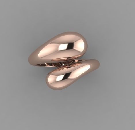 2679 ring 3D print model_4