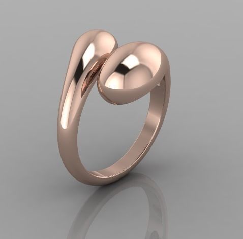 2679 ring 3D print model_5