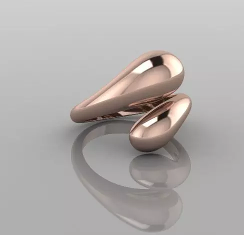 2679 ring 3D print model_0