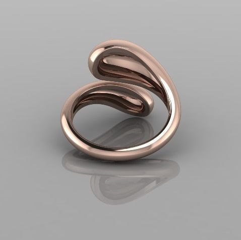 2679 ring 3D print model_2