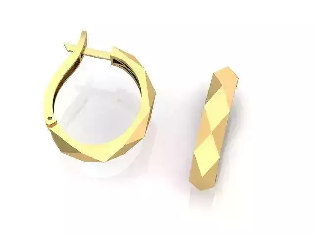 Fussion cart hoop earrings 