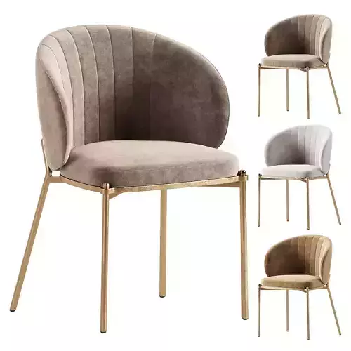 Shell Back Dining Chair