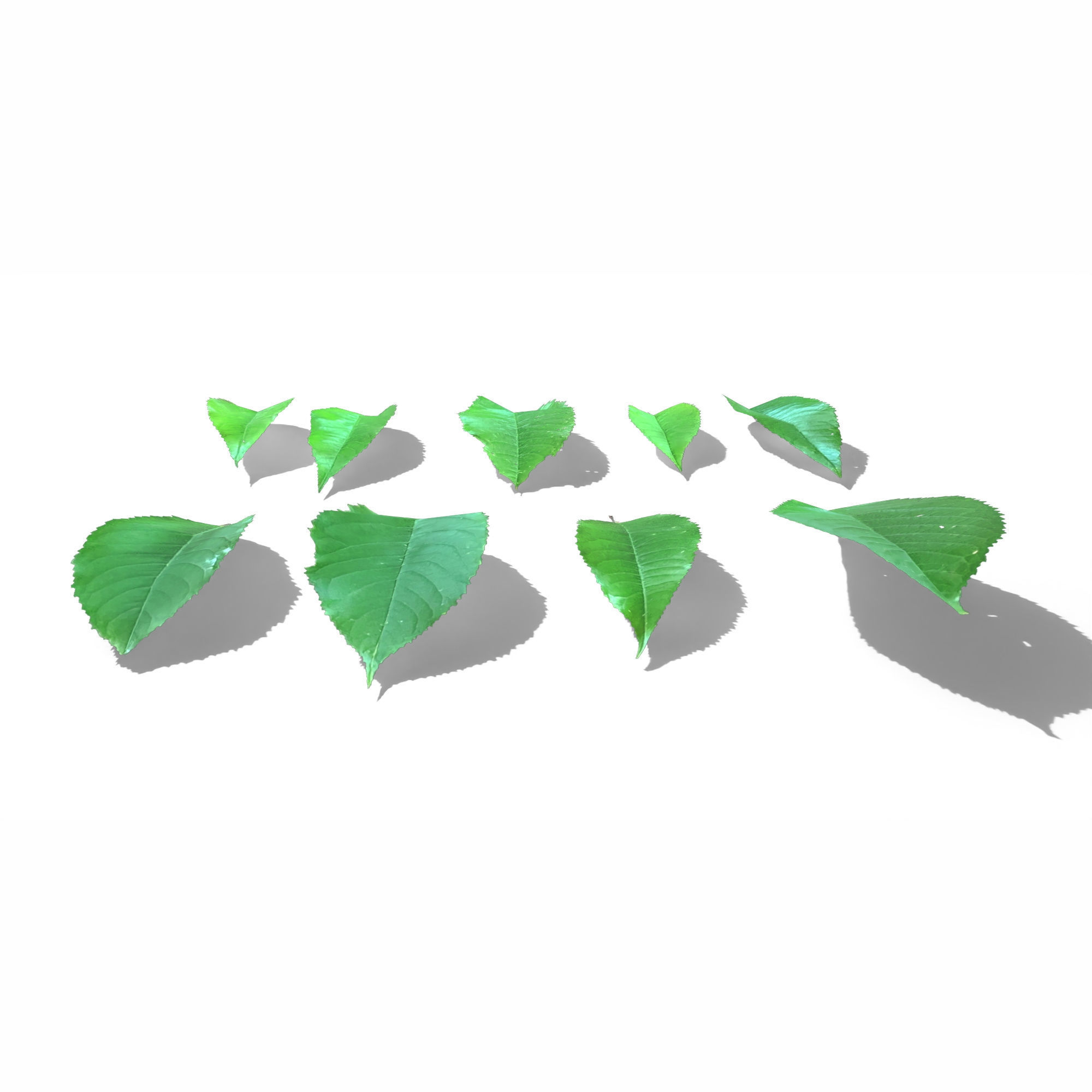 Cherry Leaves Low-poly 3D model_6