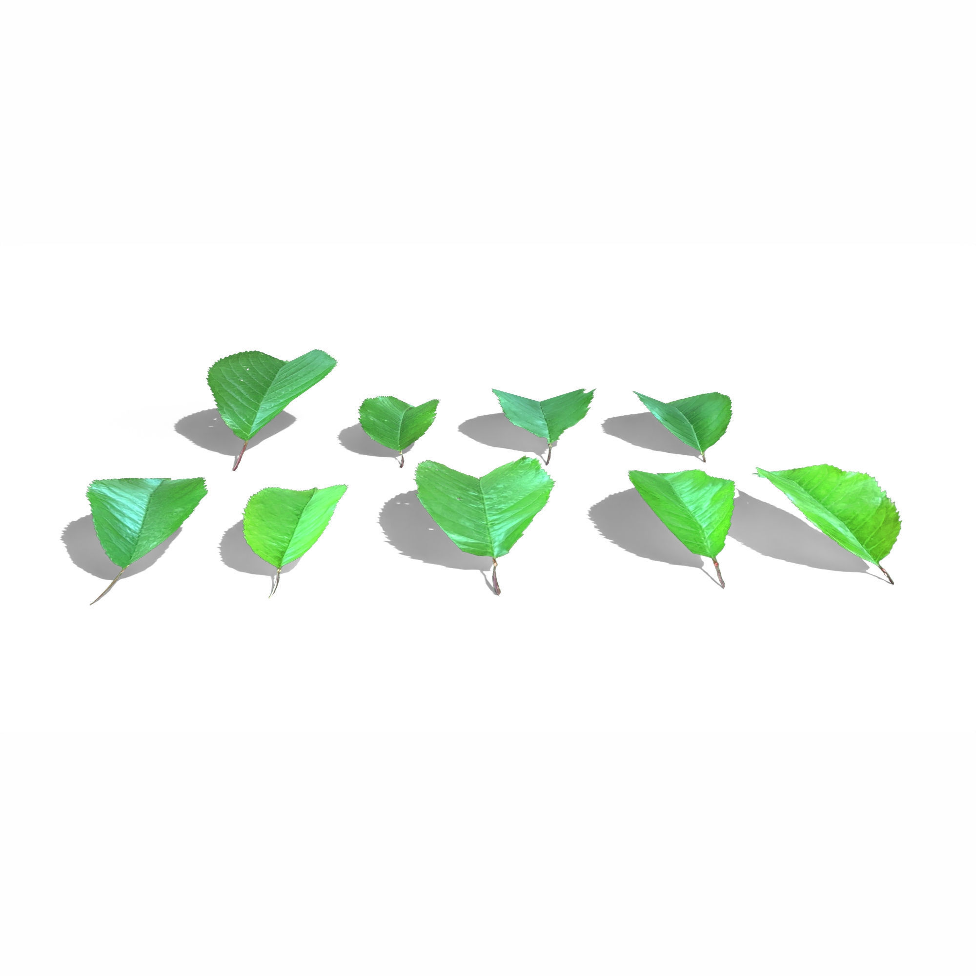 Cherry Leaves Low-poly 3D model_2