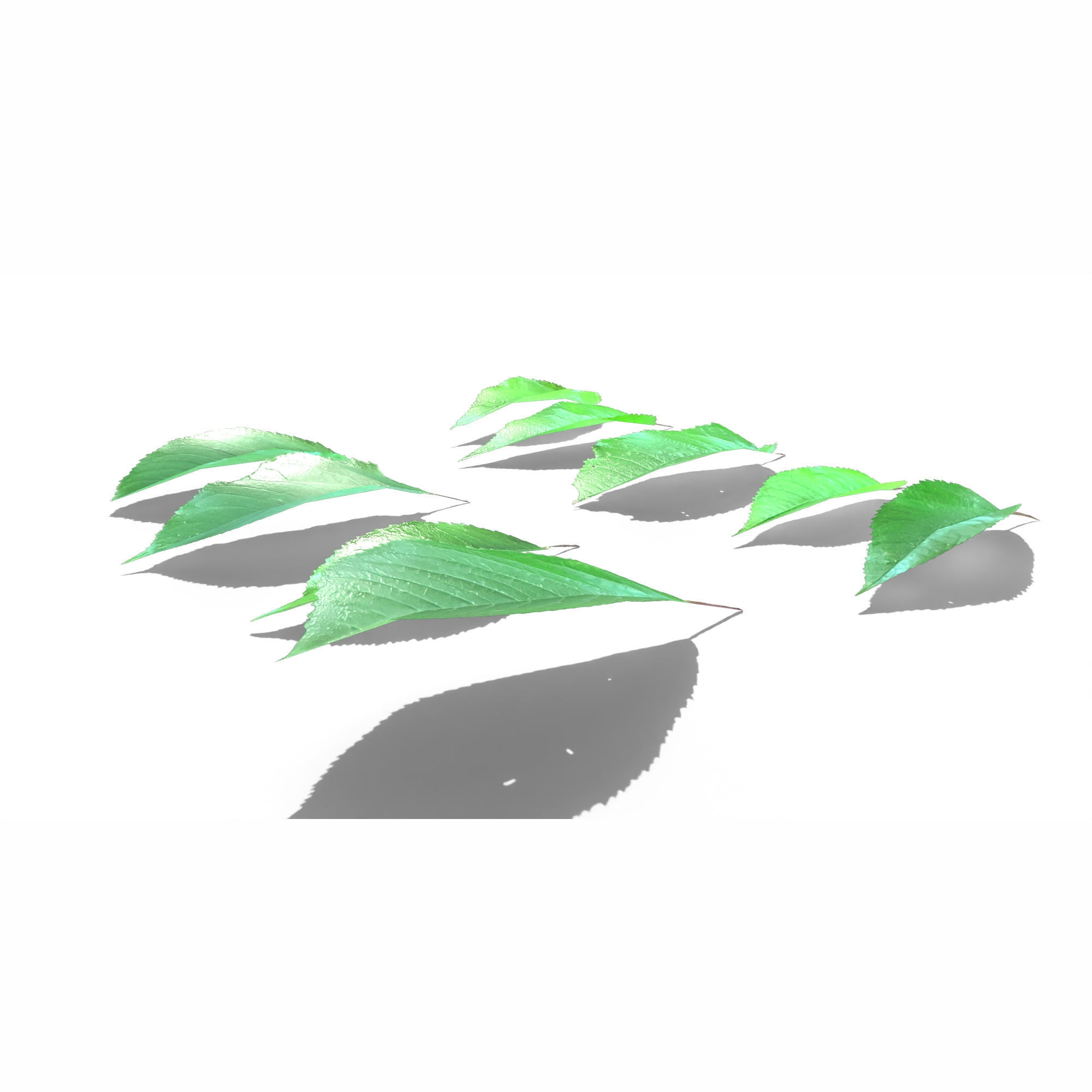 Cherry Leaves Low-poly 3D model_7