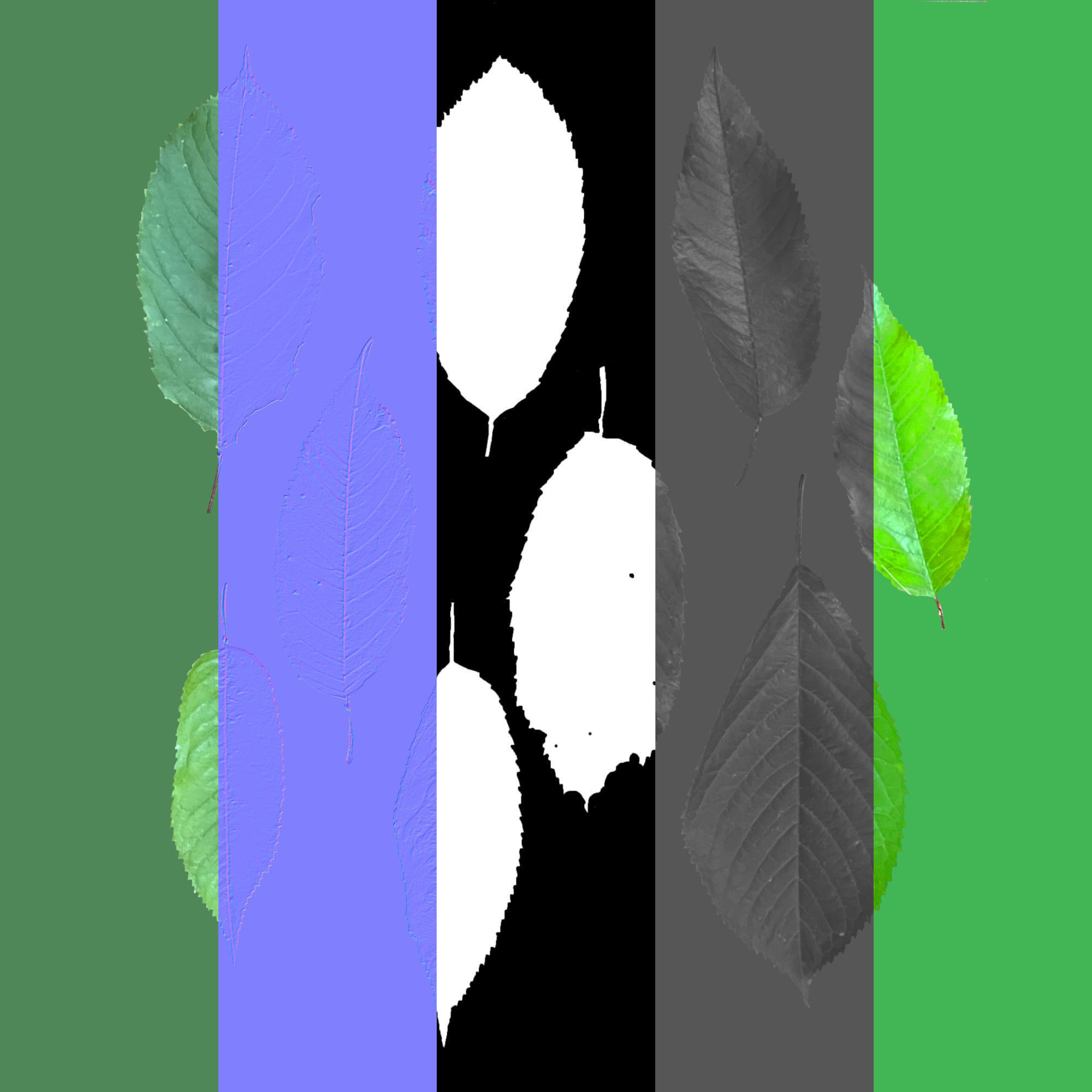 Cherry Leaves Low-poly 3D model_11