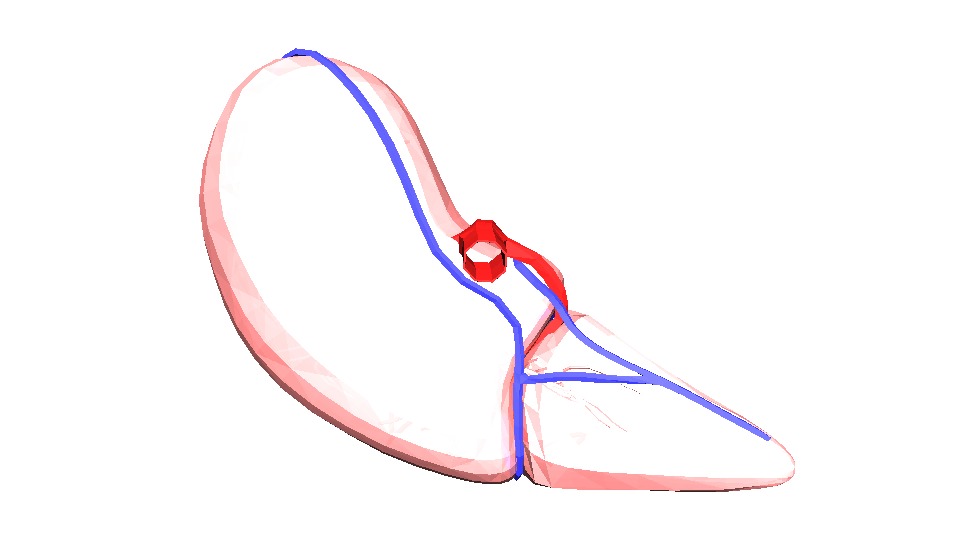 3D Model of Human Liver 3D model_6