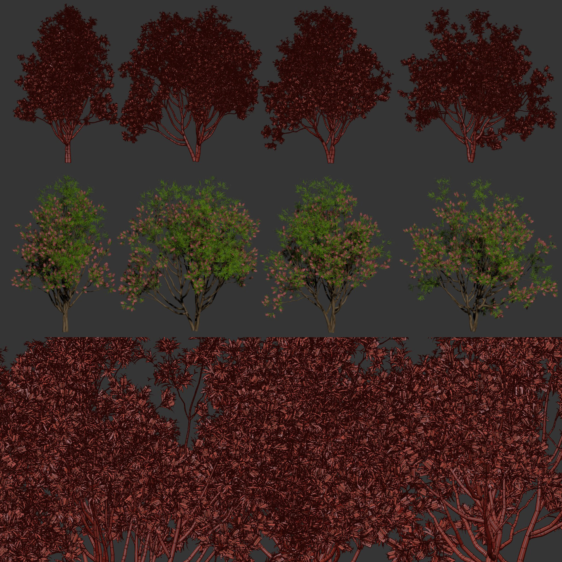 Bottlebrush bush collection vol 48-Blender 3D model_3