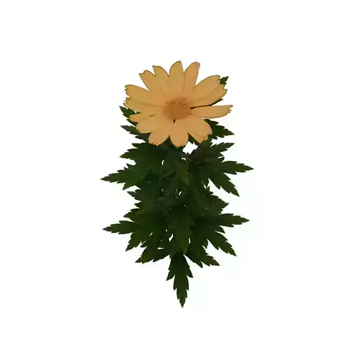 low poly yellow flower