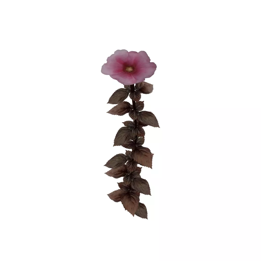 low poly dark pink flower Low-poly 3D model_0