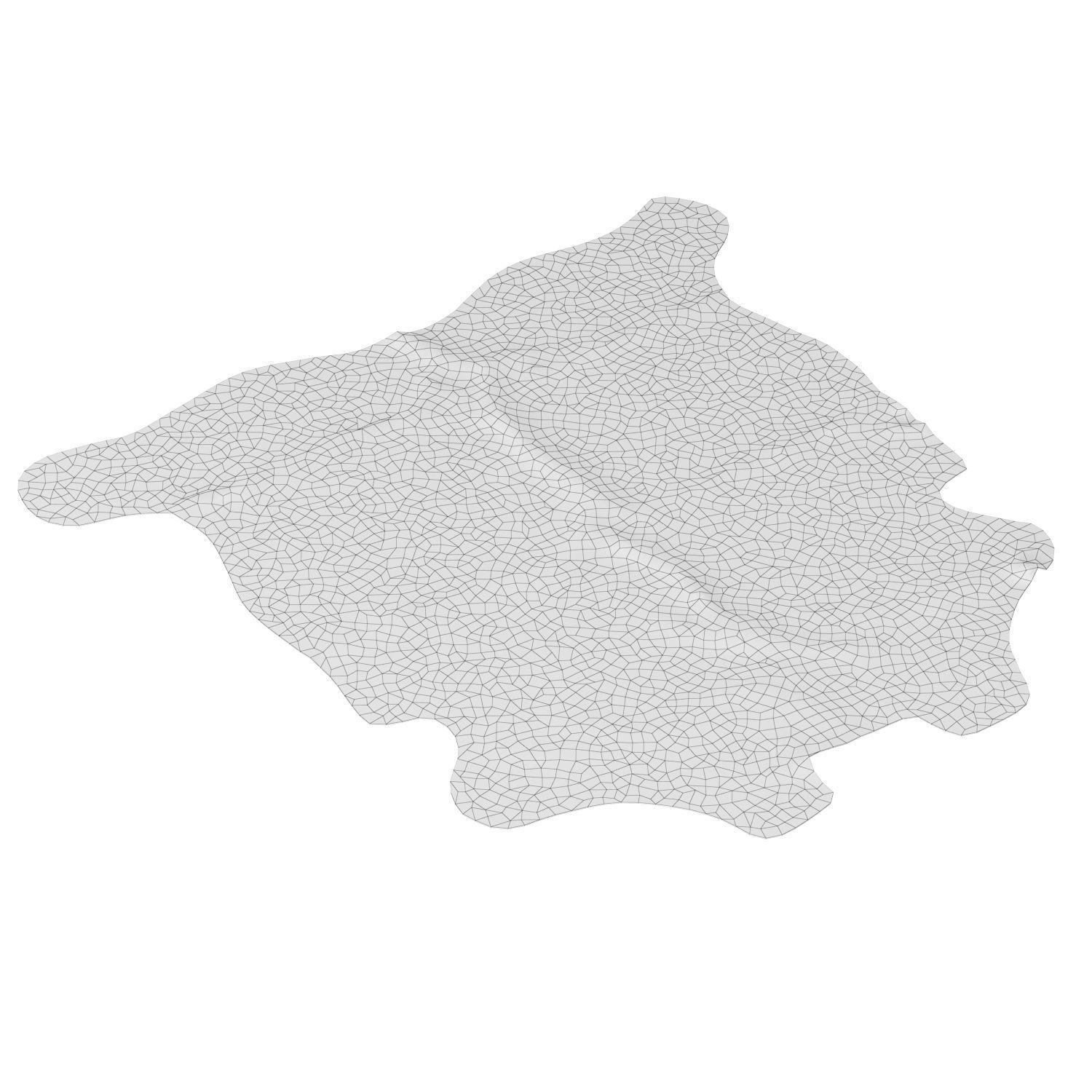 Tricolor Cowhide Rug A27079 3D model_6