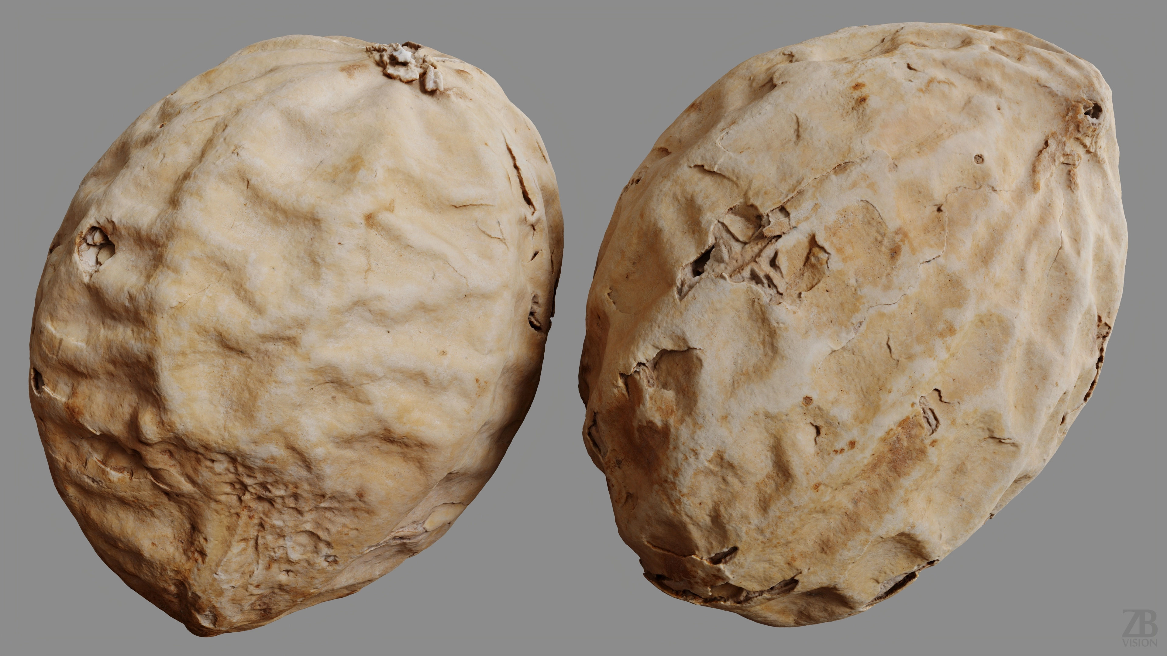 Peanut 3D model_10