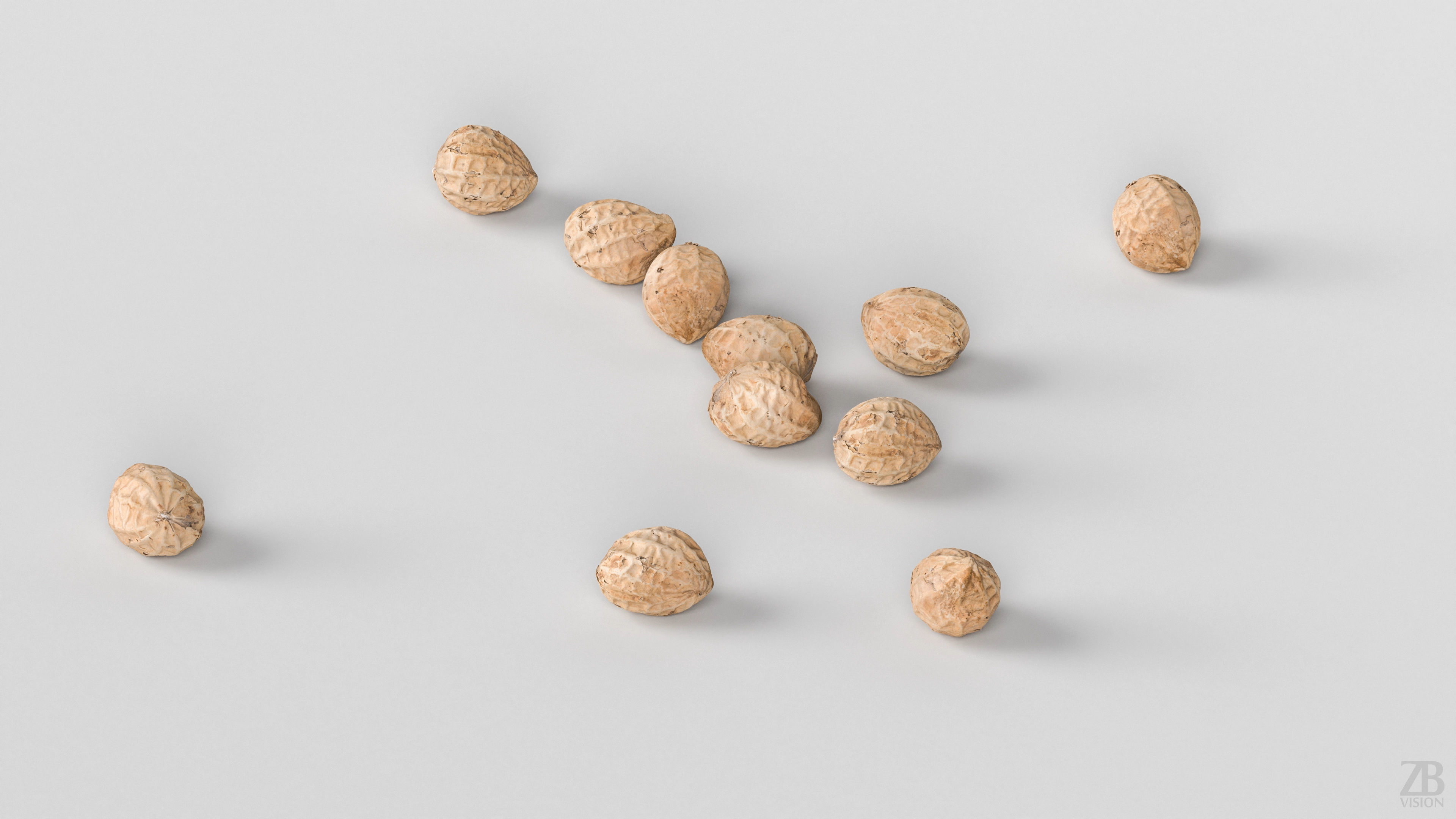 Peanut 3D model_2