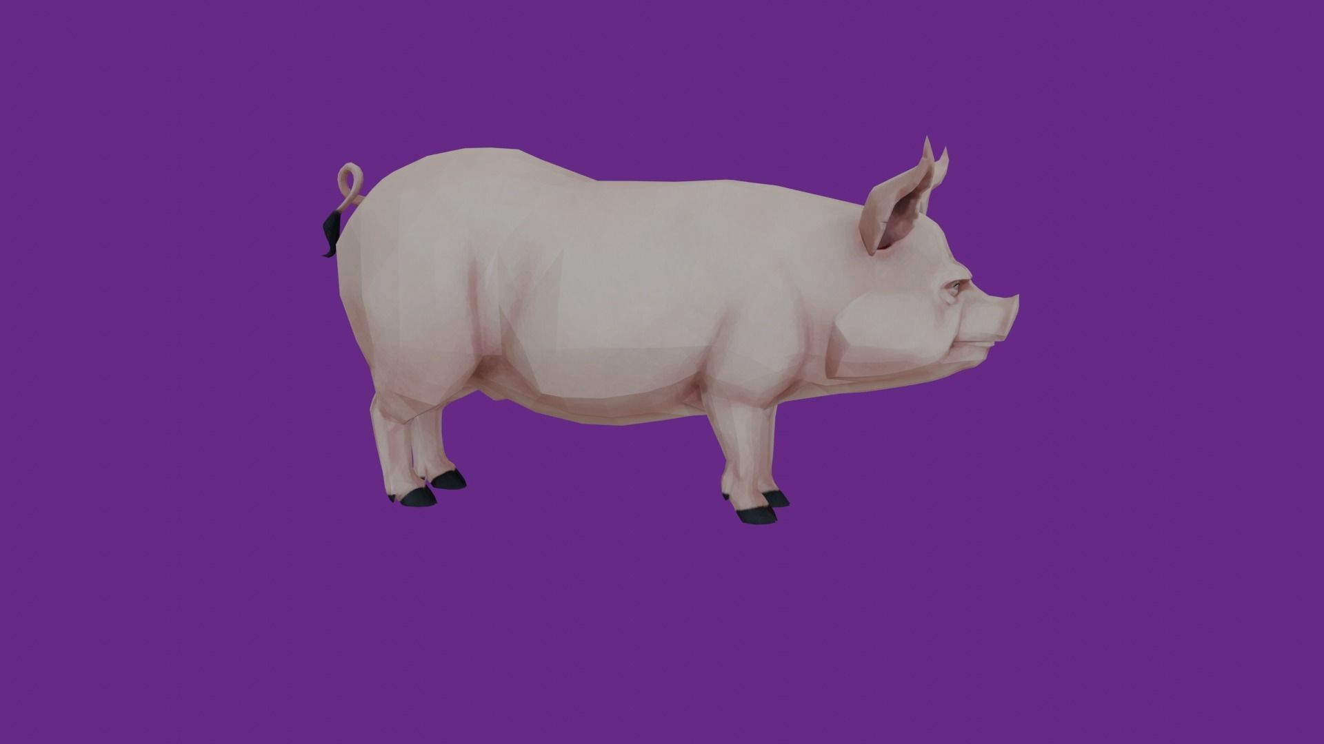 lowpoly pig 3D model_4