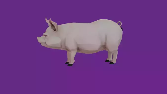 lowpoly pig