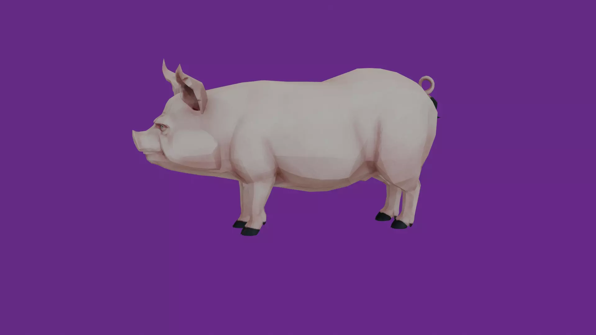 lowpoly pig 3D model_0