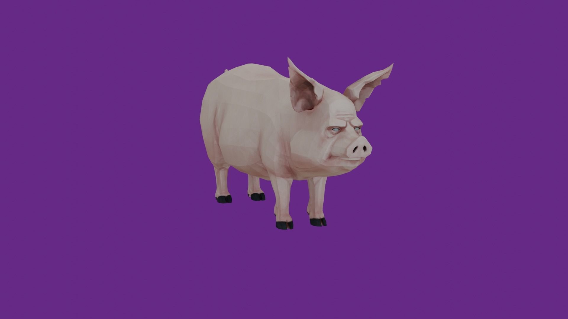 lowpoly pig 3D model_2
