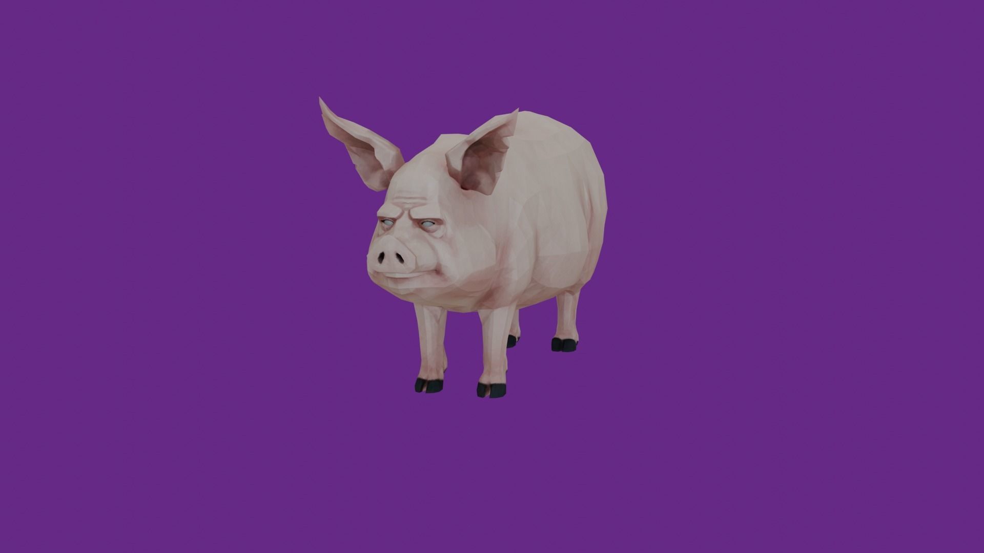 lowpoly pig 3D model_1