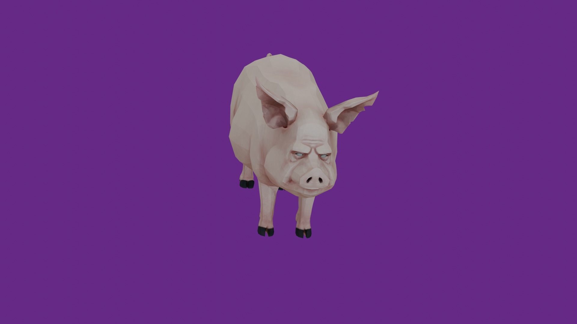 lowpoly pig 3D model_5