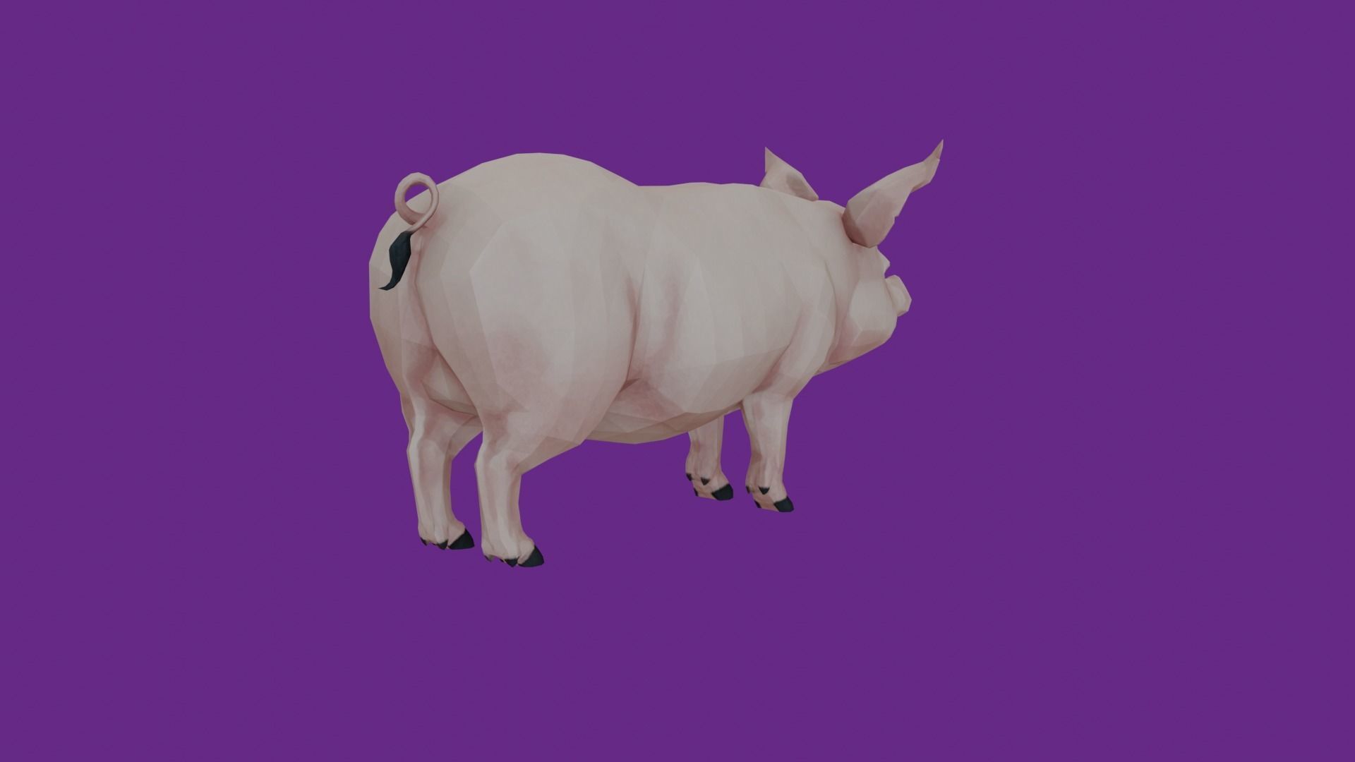 lowpoly pig 3D model_3