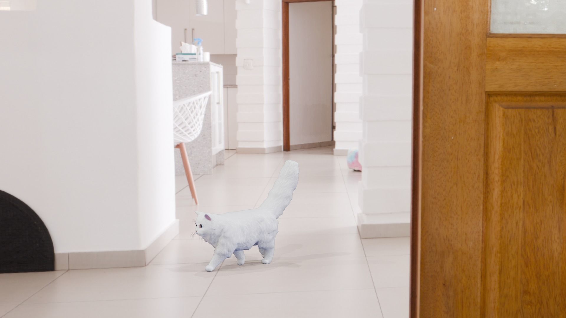 Lowpoly - Stylized cats - Persian Cat Low-poly 3D model_13