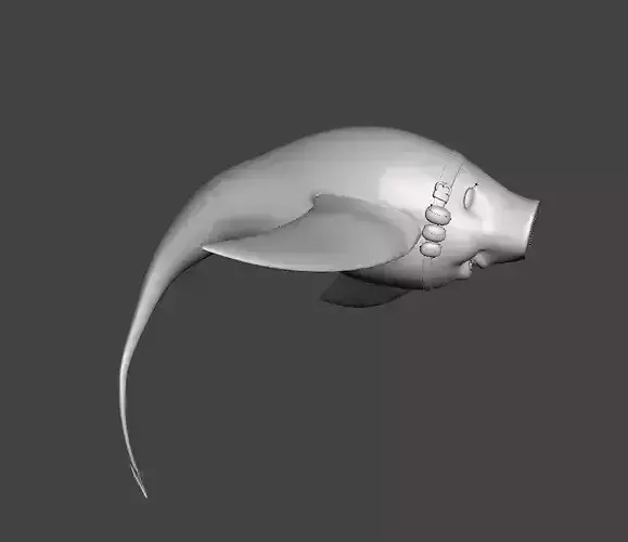 Hawk Sky Manta 3D Model