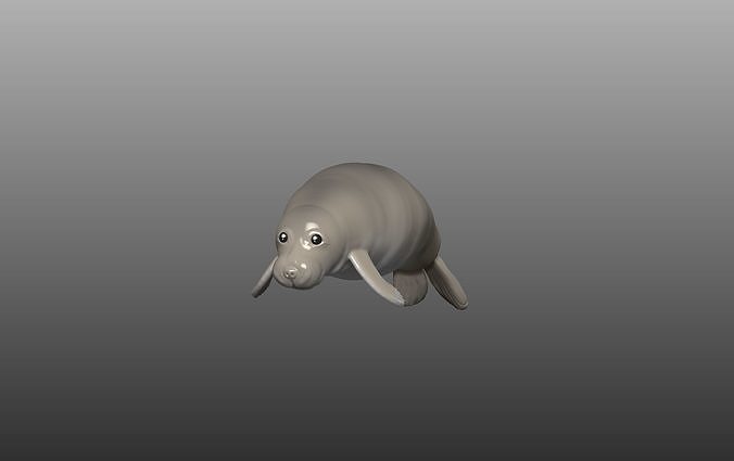 Cute Sea Lion 3D model  Free 3D print model