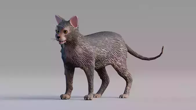 Low Poly - Stylized cats - Lykoi Cat