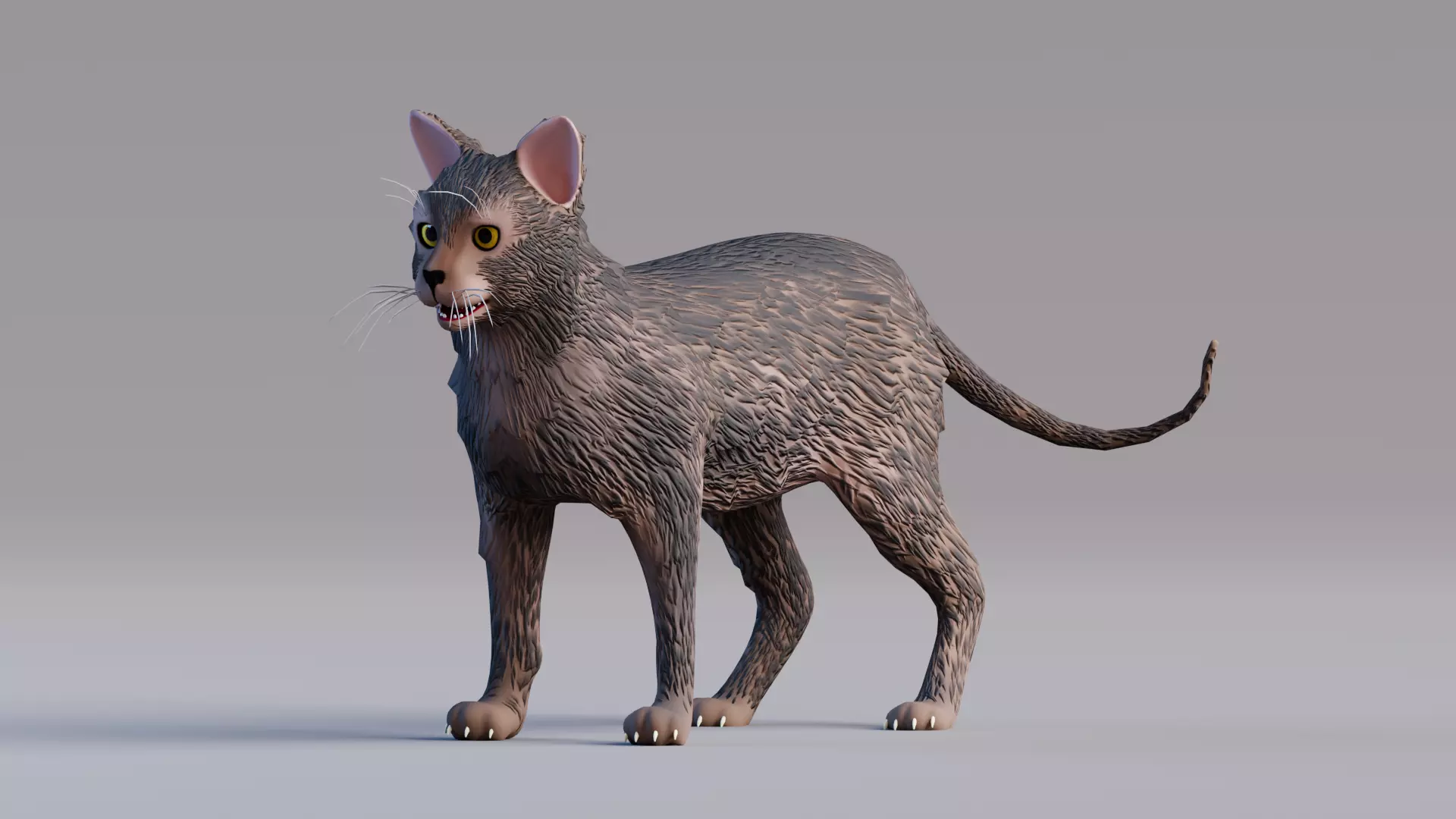 Low Poly - Stylized cats - Lykoi Cat Low-poly 3D model_0