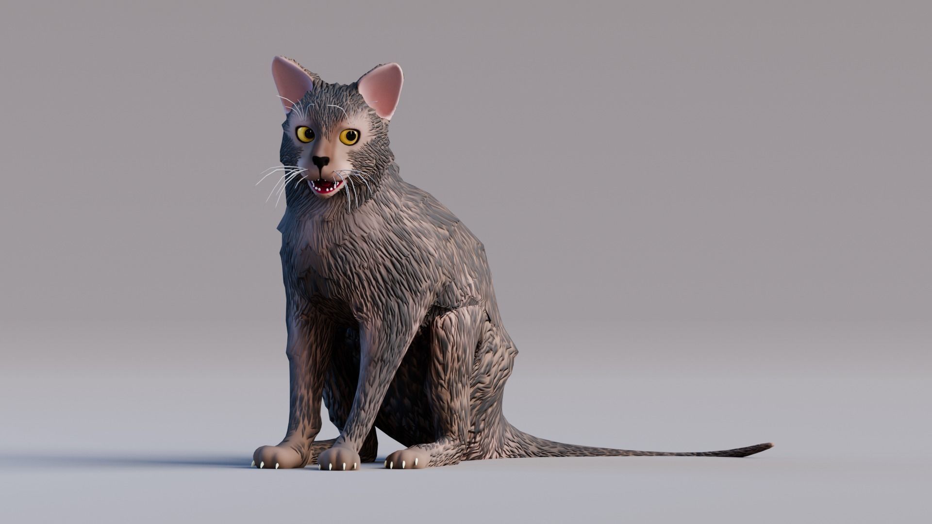 Low Poly - Stylized cats - Lykoi Cat Low-poly 3D model_2