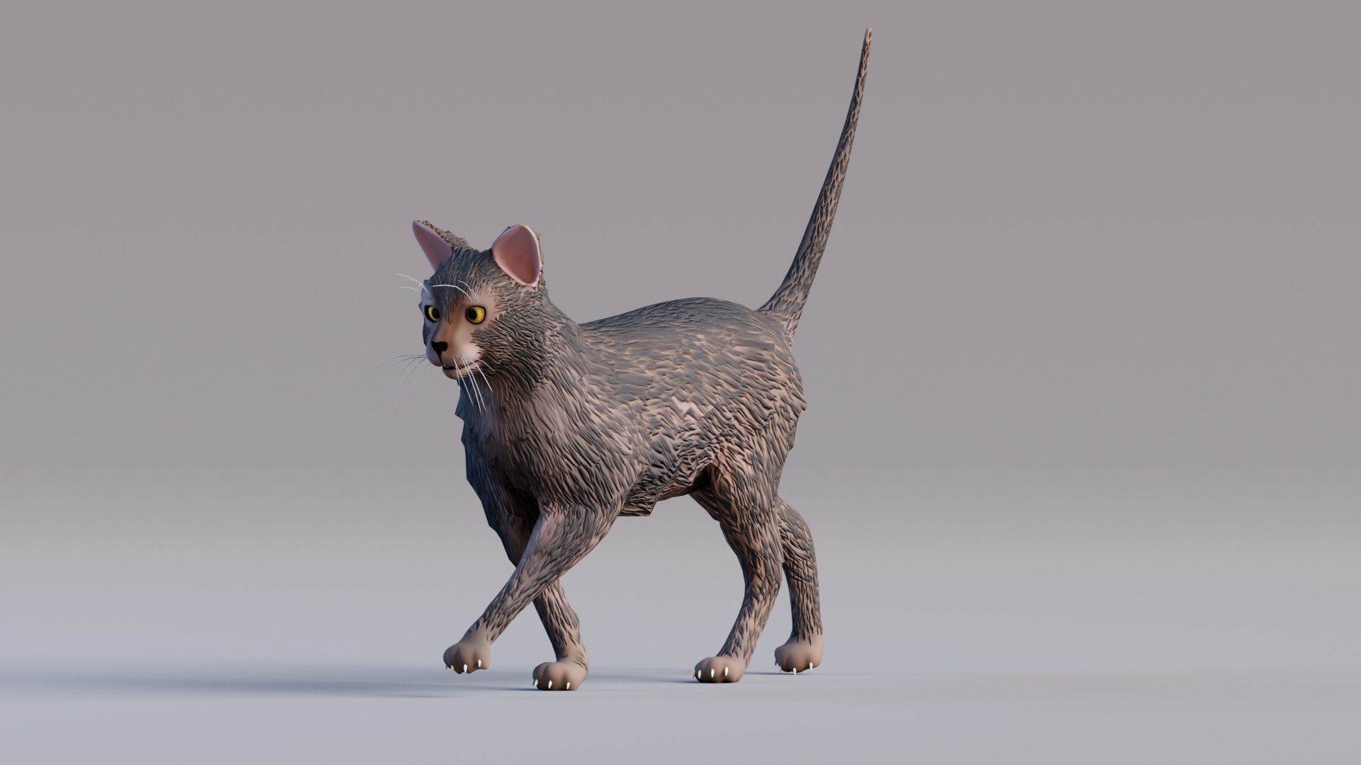 Low Poly - Stylized cats - Lykoi Cat Low-poly 3D model_3