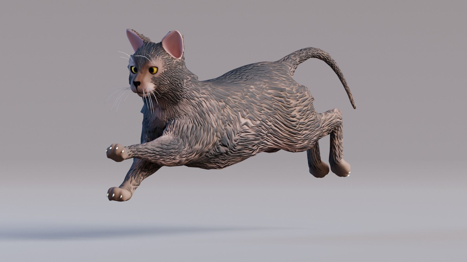 Low Poly - Stylized cats - Lykoi Cat Low-poly 3D model_1