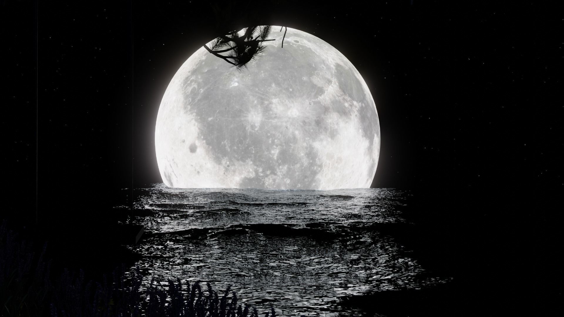 Moon Night 3D model_4