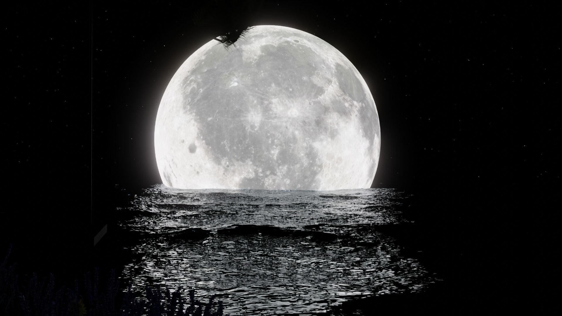 Moon Night 3D model_5