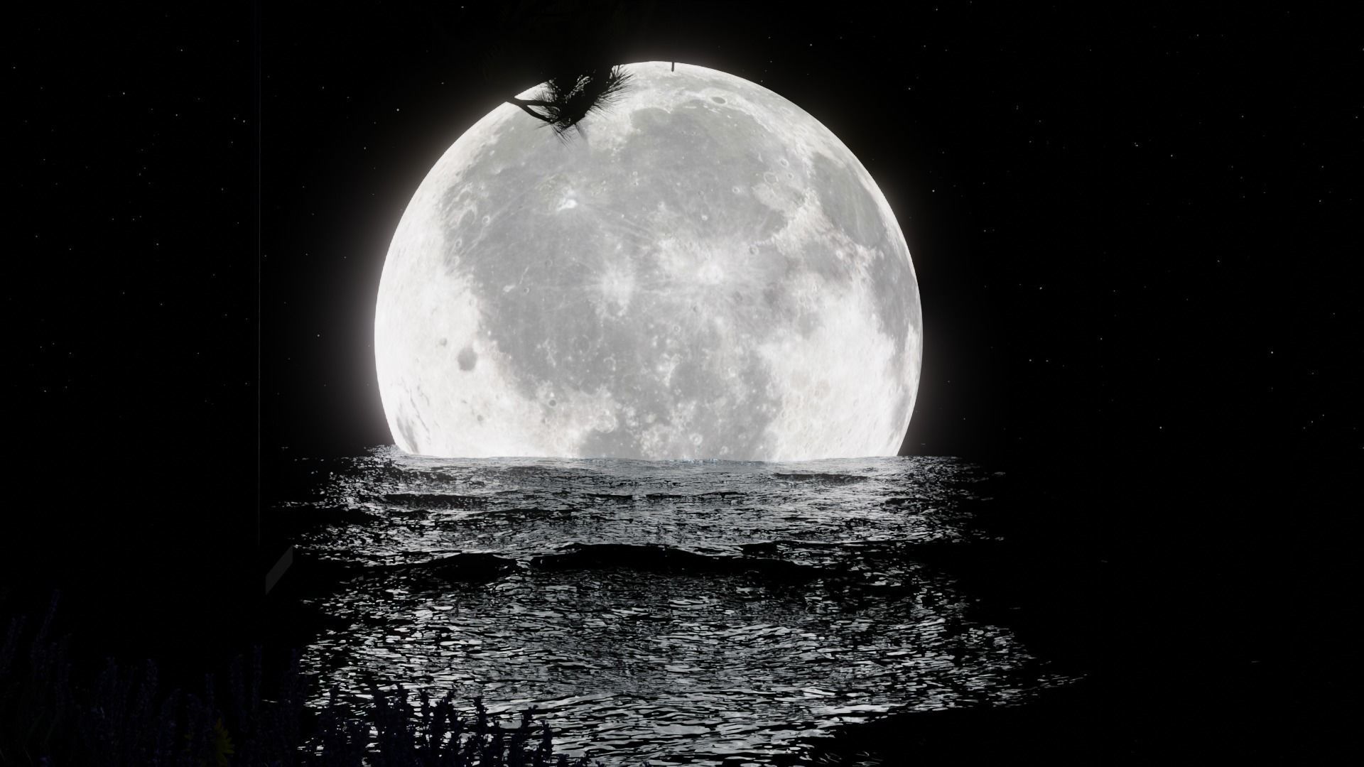 Moon Night 3D model_1