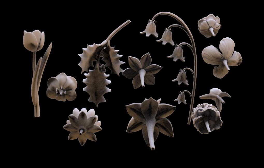 FLOWERS 3D print model_39