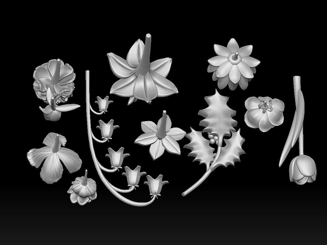 FLOWERS 3D print model_24