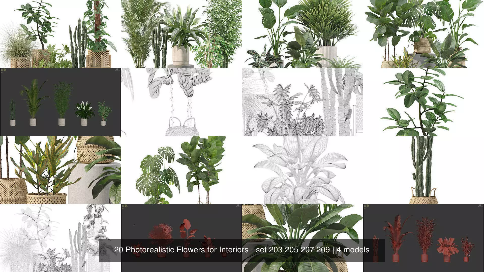 20 Photorealistic Flowers for Interiors - set 203 205 207 209 3D Model Collection_1